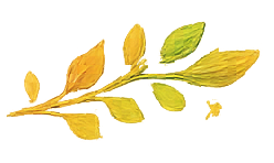 Decorative flourish icon