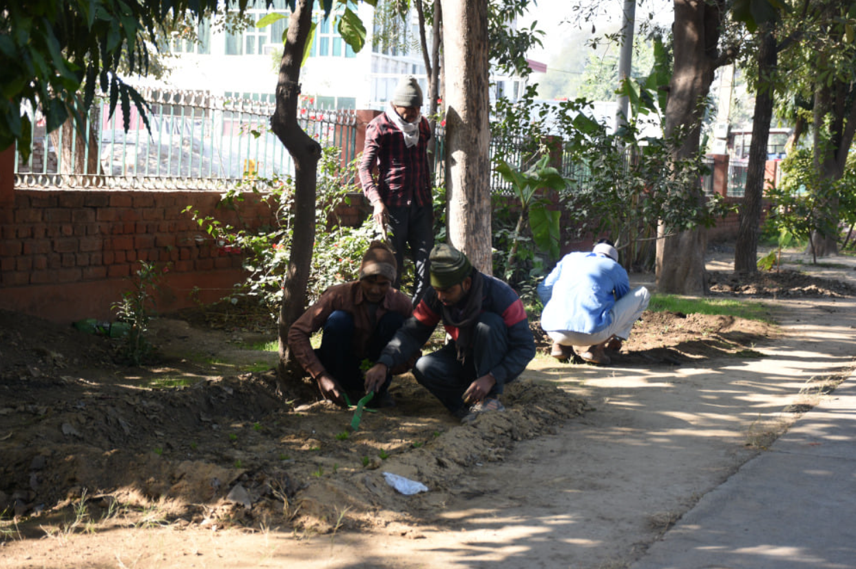 Volunteers planting trees